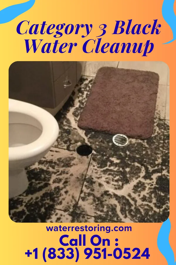 Category 3 Black Water Cleanup in Clifton Gardens, NY