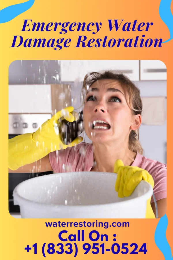 Emergency Water Damage Restoration in Clifton Gardens, NY
