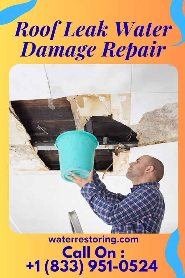 Roof Leak Water Damage Repair in Clifton Gardens, NY