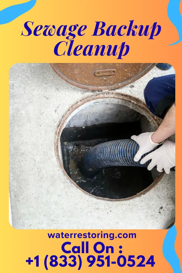 Sewage Backup Cleanup in Clifton Gardens, NY